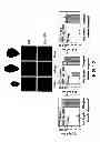 Fig. 30 - Engineering lipids in vegetative tissues of plants