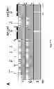 Fig. 06 - Intercellular Transfer of Organelles in Plants for Horizontal Transfer of DNA Expressing Proteins of Interest