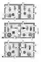 Fig. 09 - Intercellular Transfer of Organelles in Plants for Horizontal Transfer of DNA Expressing Proteins of Interest