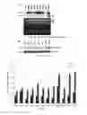 Fig. 07 - siRNAS Compositions and Method for Manipulating Berry Ripening