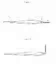 Fig. 02 - FLEXIBLE INTERDENTAL BRUSH APPLICATOR AND INTERDENTAL GUM STIMULATOR