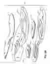 Fig. 09 - Sole structures and articles of footwear having plate moderated fluid-filled bladders and/or foam type impact force attenuation members