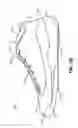 Fig. 12 - Sole structures and articles of footwear having plate moderated fluid-filled bladders and/or foam type impact force attenuation members