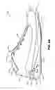 Fig. 18 - Sole structures and articles of footwear having plate moderated fluid-filled bladders and/or foam type impact force attenuation members