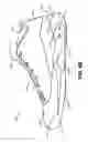 Fig. 19 - Sole structures and articles of footwear having plate moderated fluid-filled bladders and/or foam type impact force attenuation members