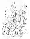 Fig. 02 - Sole structures and articles of footwear having plate moderated fluid-filled bladders and/or foam type impact force attenuation members