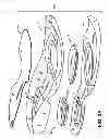 Fig. 09 - Sole structures and articles of footwear having plate moderated fluid-filled bladders and/or foam type impact force attenuation members
