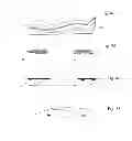 Fig. 08 - DETACHABLE SOLE FOR ATHLETIC SHOE
