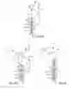 Fig. 06 - Sliding door assembly