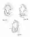 Fig. 08 - Wall panel attachment system