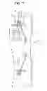Fig. 24 - Wall-mounted drum-type washing machine