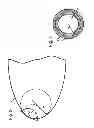 Fig. 03 - Checking a blade contour of a turbomachine