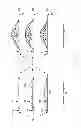 Fig. 03 - Protrusive structure apparatus