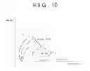 Fig. 10 - Engine starting system and engine starting method