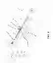 Fig. 05 - METHOD AND APPARATUS FOR CUTTING ONE OR MORE GROOVES IN A CYLINDRICAL ELEMENT