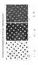 Fig. 14 - SYSTEM FOR FORMING STRUCTURED MICRODOTS