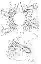 Fig. 05 - WEB MATERIALS COMPRISING BROWN INK