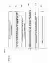 Fig. 08 - Method and system for supplying a cleaning gas into a process chamber