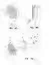 Fig. 06 - TWO-IN-ONE FINCH BIRD FEEDER