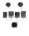 Fig. 05 - System and method for constructing and marketing a modular bird feeder