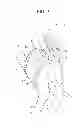 Fig. 08 - Absorbent article for pet