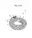 Fig. 16 - Absorbent article for pet