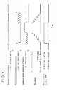 Fig. 10 - Valve opening-closing timing control apparatus