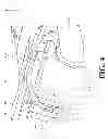 Fig. 05 - Saddle-ride type vehicle