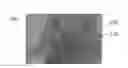 Fig. 01 - Time-varying spark current magnitude to improve spark plug performance and durability