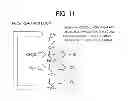 Fig. 08 - Combustion control device for internal combustion engine and combustion method for homogeneous lean air/fuel mixture