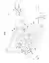 Fig. 02 - Vaporized-fuel processing apparatus