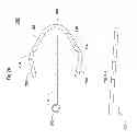 Fig. 03 - Fire pit burner
