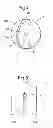Fig. 05 - Tool for separating a hair bundle