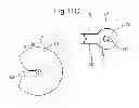 Fig. 10 - Tool for separating a hair bundle