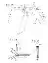 Fig. 14 - Foldable tent