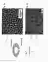 Fig. 02 - FABRICATION OF NANOWIRE ARRAY COMPOSITES FOR THERMOELECTRIC POWER GENERATORS AND MICROCOOLERS