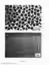 Fig. 19 - FABRICATION OF NANOWIRE ARRAY COMPOSITES FOR THERMOELECTRIC POWER GENERATORS AND MICROCOOLERS