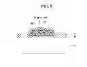 Fig. 06 - SOLAR CELL AND METHOD FOR MANUFACTURING THE SAME