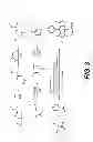 Fig. 04 - DIPYRIN BASED MATERIALS FOR PHOTOVOLTAICS, COMPOUNDS CAPABLE OF UNDERGOING SYMMETRY BREAKING INTRAMOLECULAR CHARGE TRANSFER IN A POLARIZING MEDIUM AND ORGANIC PHOTOVOLTAIC DEVICES COMPRISING THE SAME