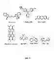 Fig. 20 - DIPYRIN BASED MATERIALS FOR PHOTOVOLTAICS, COMPOUNDS CAPABLE OF UNDERGOING SYMMETRY BREAKING INTRAMOLECULAR CHARGE TRANSFER IN A POLARIZING MEDIUM AND ORGANIC PHOTOVOLTAIC DEVICES COMPRISING THE SAME