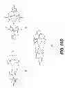 Fig. 24 - DIPYRIN BASED MATERIALS FOR PHOTOVOLTAICS, COMPOUNDS CAPABLE OF UNDERGOING SYMMETRY BREAKING INTRAMOLECULAR CHARGE TRANSFER IN A POLARIZING MEDIUM AND ORGANIC PHOTOVOLTAIC DEVICES COMPRISING THE SAME