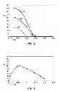 Fig. 04 - Core annular flow of crude oils