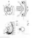 Fig. 05 - Detachable handle for adjusting a valve and an assembly comprising a detachable handle and a valve