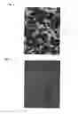 Fig. 02 - Metastable β-titanium alloys and methods of processing the same by direct aging