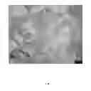 Fig. 11 - Processing routes for titanium and titanium alloys