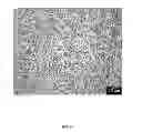Fig. 20 - Processing routes for titanium and titanium alloys