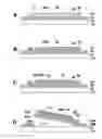 Fig. 01 - Method of label formation