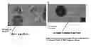 Fig. 01 - Casting mold composition with improved detectability for inclusions and method of casting