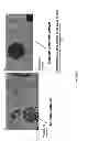 Fig. 03 - Casting mold composition with improved detectability for inclusions and method of casting