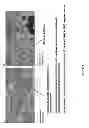 Fig. 04 - Casting mold composition with improved detectability for inclusions and method of casting